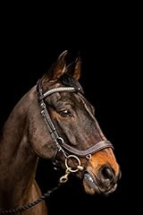 Equipride anatomical bridle for sale  Delivered anywhere in UK