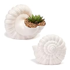 Seashell succulent planter for sale  Delivered anywhere in USA 