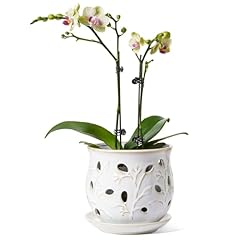 Tauci ceramic orchid for sale  Delivered anywhere in USA 