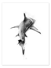 Squalo poster alexis usato  Spedito ovunque in Italia 