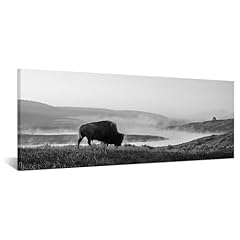 Iknow foto american for sale  Delivered anywhere in USA 