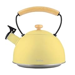 Briebe retro wasserkessel gebraucht kaufen  Wird an jeden Ort in Deutschland