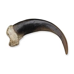 Grizzly bear claw for sale  Delivered anywhere in USA 