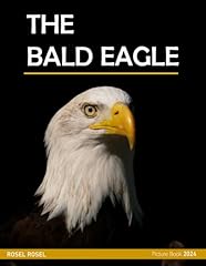 Bald eagle cool for sale  Delivered anywhere in USA 