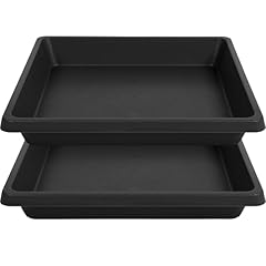 Inch square plant for sale  Delivered anywhere in USA 