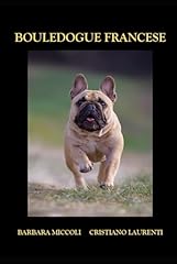 Bouledogue francese usato  Spedito ovunque in Italia 