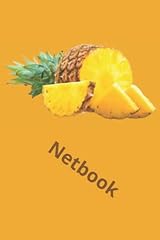 Netbook 2.0 usato  Spedito ovunque in Italia 