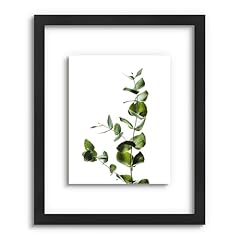 Pressed flower frames for sale  Delivered anywhere in USA 