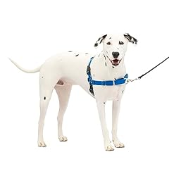 Petsafe easy walk for sale  Delivered anywhere in USA 