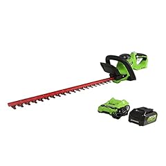 Greenworks 24v cordless for sale  Delivered anywhere in USA 