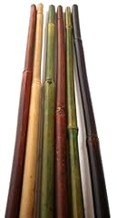 Supermoss bamboo plant for sale  Delivered anywhere in USA 