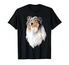 Collie langhaar rough gebraucht kaufen  Wird an jeden Ort in Deutschland