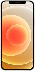 Apple iphone 15.5 usato  Spedito ovunque in Italia 