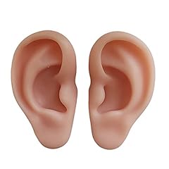 Teaching model ear for sale  Delivered anywhere in UK