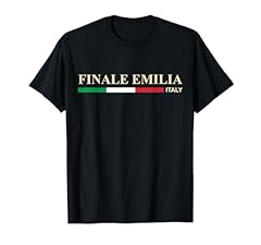 Finale emilia italia usato  Spedito ovunque in Italia 