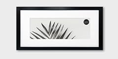 Real glass panoramic for sale  Delivered anywhere in UK