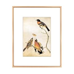 8x10 picture frame for sale  Delivered anywhere in USA 