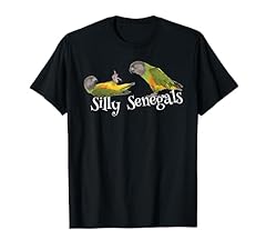 Silly senegal parrot for sale  Delivered anywhere in UK