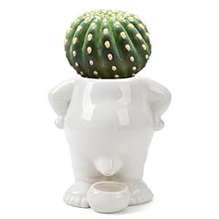 Funny flower pots for sale  Delivered anywhere in USA 