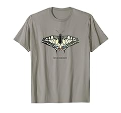 Papilio machaon farfalla usato  Spedito ovunque in Italia 