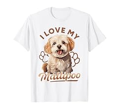 Maltipoo cane razza usato  Spedito ovunque in Italia 