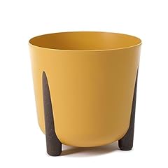 Mustard plant pot for sale  Delivered anywhere in UK