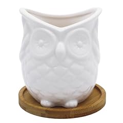 Gemseek cute owl for sale  Delivered anywhere in USA 