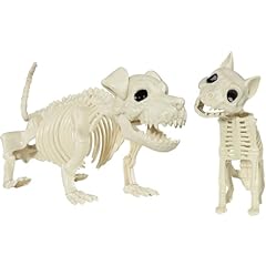 Skeleton dog cat for sale  Delivered anywhere in USA 