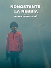 Nonostante nebbia usato  Spedito ovunque in Italia 