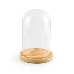 Wenlisell glass domes for sale  Delivered anywhere in UK