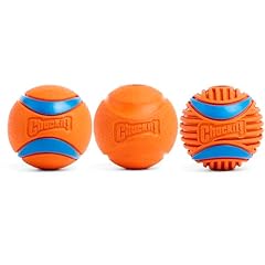 Chuckit fetch medley usato  Spedito ovunque in Italia 