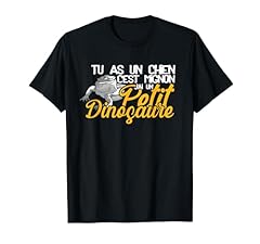 Agame barbu pogona d'occasion  Livré partout en France