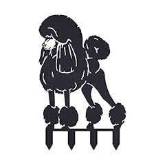 Black standard poodle for sale  Delivered anywhere in UK