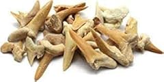 Prehistoric fossils shark for sale  Delivered anywhere in UK