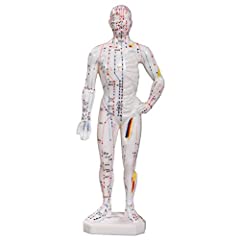 66fit acupuncture male for sale  Delivered anywhere in UK