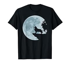 Langhaar collie vollmond gebraucht kaufen  Wird an jeden Ort in Deutschland