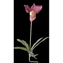 Large artificial paphiopedilum for sale  Delivered anywhere in USA 