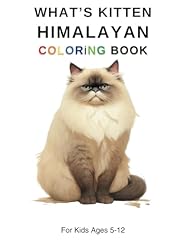 Whats kitten himalayan for sale  Delivered anywhere in USA 