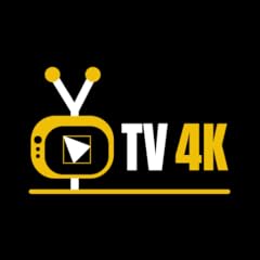 Ytv player gebraucht kaufen  Wird an jeden Ort in Deutschland