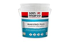 Maestro plus idropittura usato  Spedito ovunque in Italia 