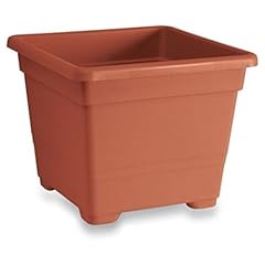 Maiol mq2721 vaso usato  Spedito ovunque in Italia 