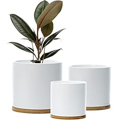 Set ceramic plant for sale  Delivered anywhere in UK