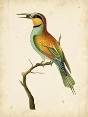 Art.com wall art for sale  Delivered anywhere in USA 