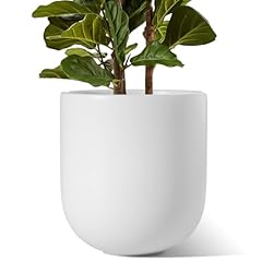 Tauci plant pot for sale  Delivered anywhere in UK