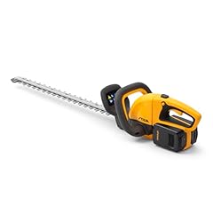 Stiga tagliasiepi ht300e usato  Spedito ovunque in Italia 