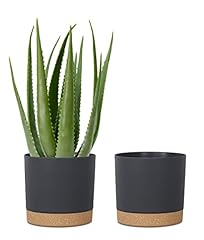 Kubvici plant pots for sale  Delivered anywhere in USA 