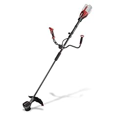 Einhell professional akku gebraucht kaufen  Wird an jeden Ort in Deutschland