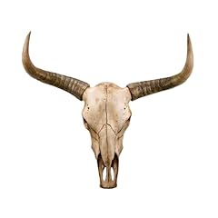 Kiwzzxxkw cow skull for sale  Delivered anywhere in USA 