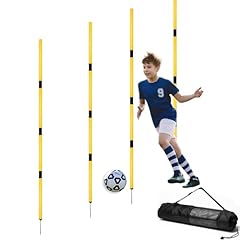 Hanlintk training agility gebraucht kaufen  Wird an jeden Ort in Deutschland