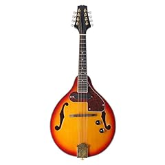Mandolin instrument electric for sale  Delivered anywhere in UK